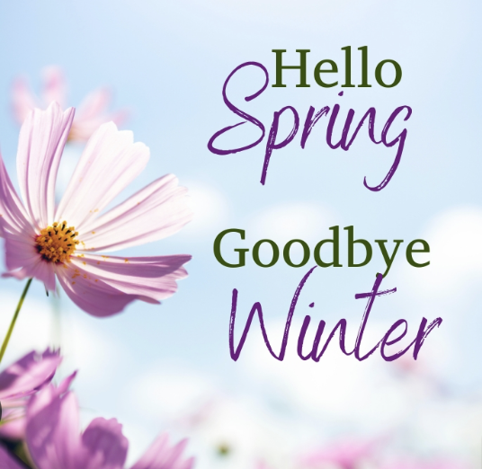 Chorus Focus 3-1-2026